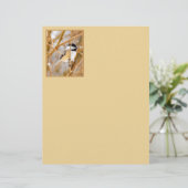 Schwarze Chickade - Original-Foto (Stehend Vorderseite)