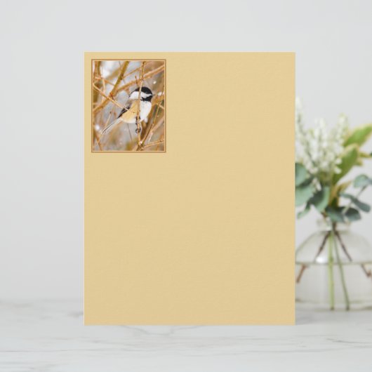 Schwarze Chickade - Original-Foto (Stehend Vorderseite)