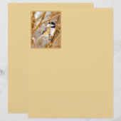 Schwarze Chickade - Original-Foto (Vorne/Hinten)