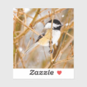 Schwarze Chickade - Original-Foto Aufkleber (Blatt)