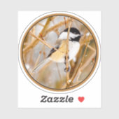 Schwarze Chickade - Original-Foto Aufkleber (Blatt)