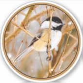 Schwarze Chickade - Original-Foto Aufkleber (Vorderseite)
