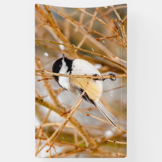 Schwarze Chickade - Original-Foto Banner (Vertikal)