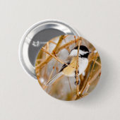 Schwarze Chickade - Original-Foto Button (Vorne & Hinten)