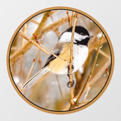 Schwarze Chickade - Original-Foto Fensteraufkleber (Blatt)