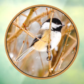 Schwarze Chickade - Original-Foto Fensteraufkleber (Blatt 3)