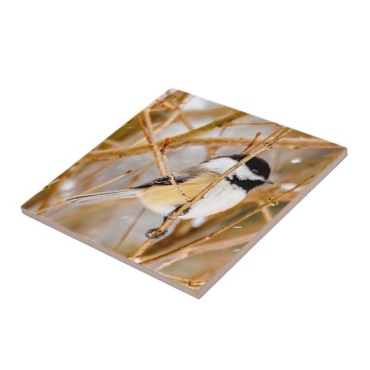 Schwarze Chickade - Original-Foto Fliese (Seite)