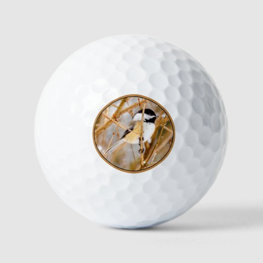 Schwarze Chickade - Original-Foto Golfball (Vorderseite)