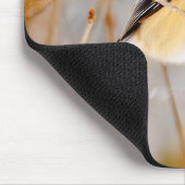 Schwarze Chickade - Original-Foto Mousepad (Ecke)