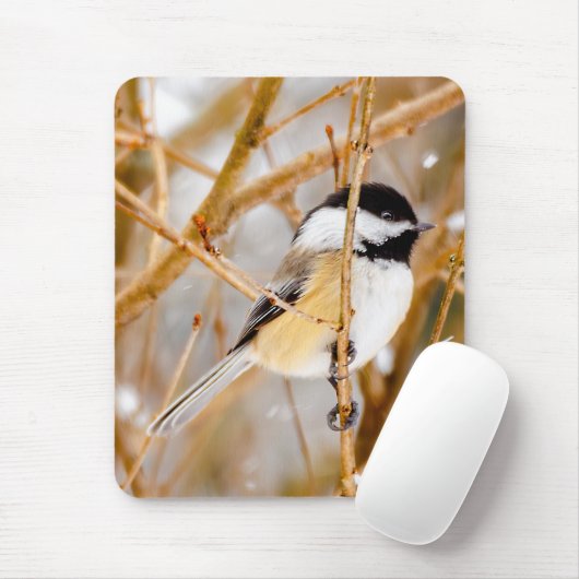 Schwarze Chickade - Original-Foto Mousepad (Mit Mouse)