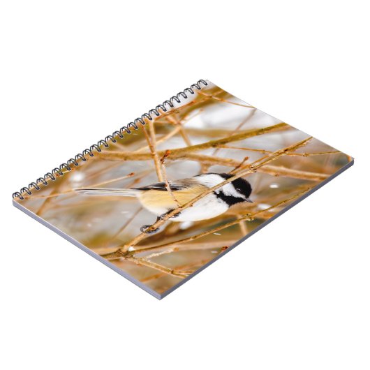 Schwarze Chickade - Original-Foto Notizblock (Linke Seite)