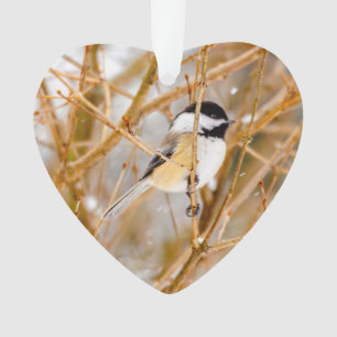Schwarze Chickade - Original-Foto Ornament