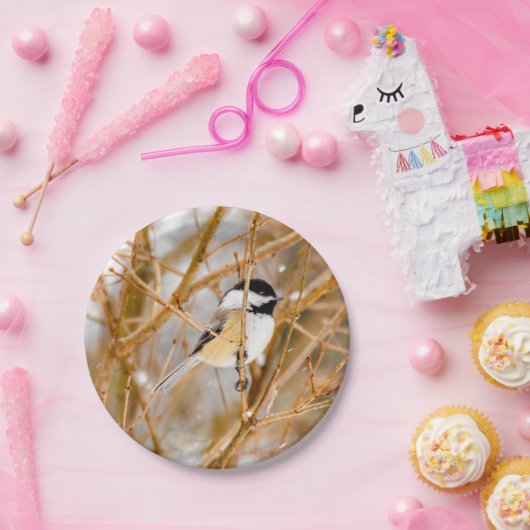 Schwarze Chickade - Original-Foto Pappteller (Party)