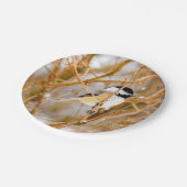 Schwarze Chickade - Original-Foto Pappteller (Schrägansicht)