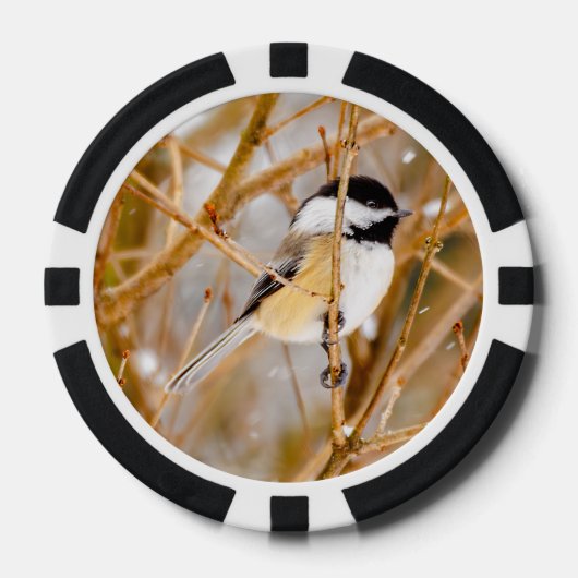 Schwarze Chickade - Original-Foto Pokerchips (Vorderseite)