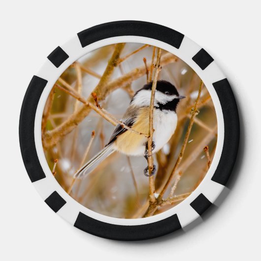Schwarze Chickade - Original-Foto Pokerchips (Rückseite)
