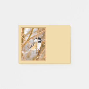 Schwarze Chickade - Original-Foto Post-it Klebezettel