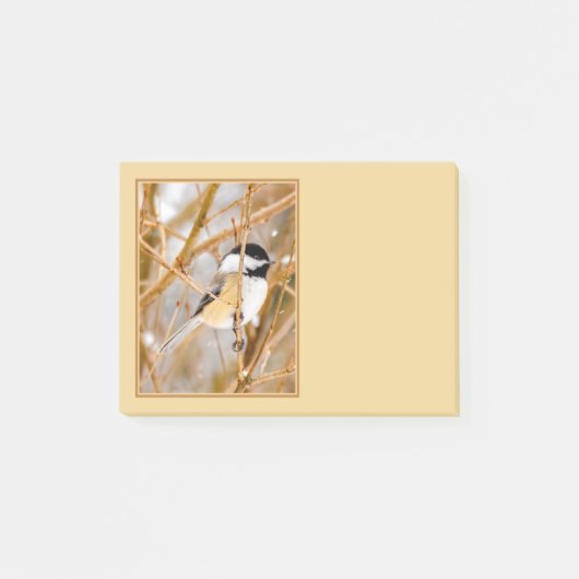 Schwarze Chickade - Original-Foto Post-it Klebezettel (Vorderseite)