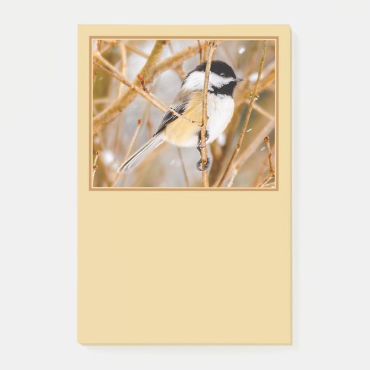 Schwarze Chickade - Original-Foto Post-it Klebezettel (Vorderseite)