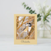 Schwarze Chickade - Original-Foto Postkarte (Stehend Vorderseite)