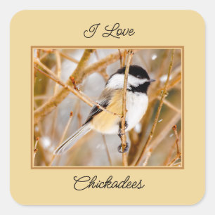 Schwarze Chickade - Original-Foto Quadratischer Aufkleber