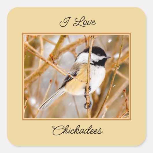Schwarze Chickade - Original-Foto Quadratischer Aufkleber (Vorderseite)