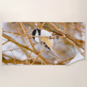 Schwarze Chickade - Original-Foto Strandtuch (Vorderseite)