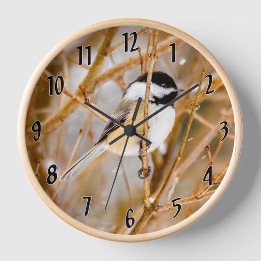 Schwarze Chickade - Original-Foto Uhr (Vorderseite)