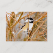 Schwarze Chickade - Original-Foto Visitenkarte (Rückseite)