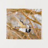 Schwarze Chickade - Original-Foto Wandteppich (Vorderseite (Horizontal))