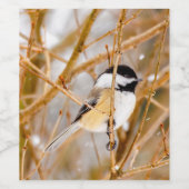 Schwarze Chickade - Original-Foto Weinetikett (Einzelnes Label)