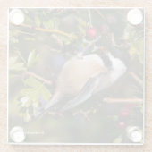 Schwarze Chickadee, die Herbstberries geniessen Glasuntersetzer (Rückseite)