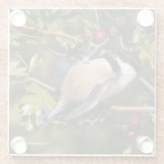 Schwarze Chickadee, die Herbstberries geniessen Glasuntersetzer (Rückseite)
