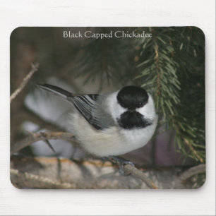 Schwarze Chickadee Mousepad