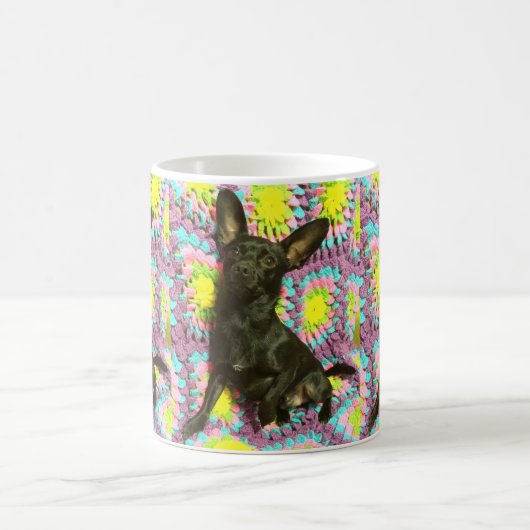 Schwarze Chihuahua Kaffeetasse (Mittel)