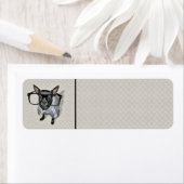 Schwarze Chihuahua mit Brillen-Foto (Insitu)