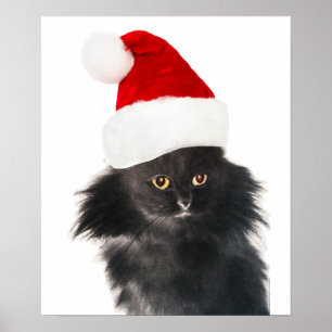 SCHWARZE CHRISTMAS KATZE MIT SANTA CLAUS HAT POSTER