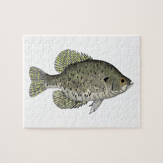 Schwarze Crappie Puzzle (Horizontal)