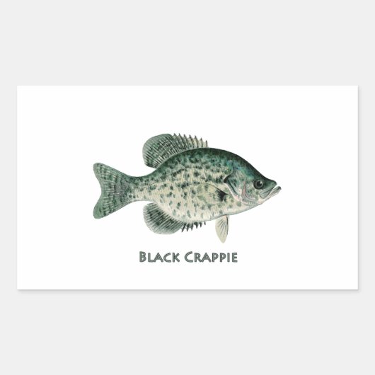 Schwarze Crappie Rechteckiger Aufkleber (Vorderseite)