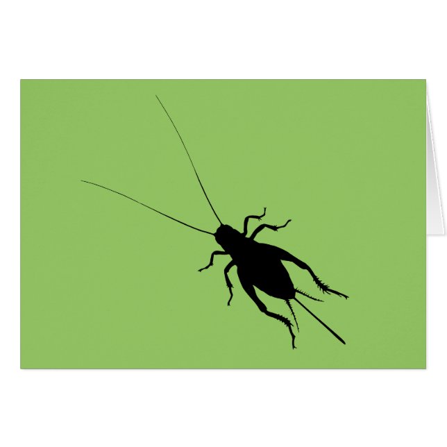 Schwarze Cricket (Vorderseite (Horizontal))