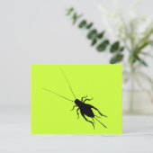 Schwarze Cricket Postkarte (Stehend Vorderseite)