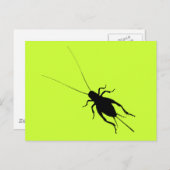 Schwarze Cricket Postkarte (Vorne/Hinten)