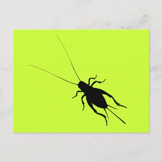 Schwarze Cricket Postkarte (Vorderseite)