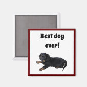 Schwarze Dackel Cocker Spanisch Welpenfotografie Magnet (Vorderseite/Rückseite)