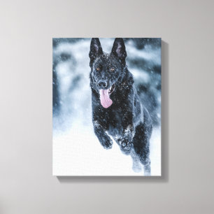 Schwarze Deutsche Schäferhunde im Schnee Bettwäsch Leinwanddruck