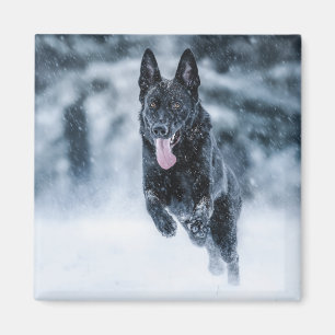 Schwarze Deutsche Schäferhunde im Schnee Bettwäsch Magnet