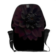 Schwarze die Dahlie-mit BlumenBlume der modernen