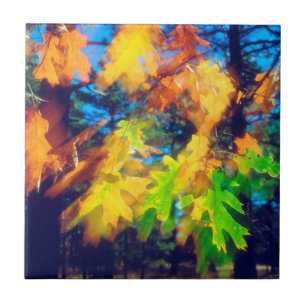 Schwarze Eiche-Blätter, die im Wind wehen Fliese