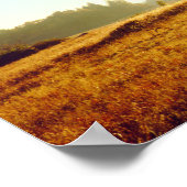 Schwarze Eichen | Cleveland National Forest, CA Poster (Ecke)