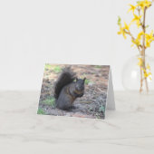Schwarze Eichhörnchen-Note Karte (Gelbe Blume)